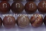 CWJ434 15.5 inches 12mm round wood jasper beads wholesale