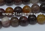 CWJ502 15.5 inches 8mm round Xinjiang wood jasper beads wholesale