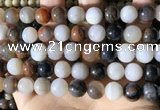 CWJ572 15.5 inches 12mm round Arizona petrified wood jasper beads