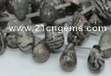 CZJ16 16 inches 8*12mm teardrop zebra jasper gemstone beads wholesale