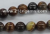 CZJ171 15.5 inches 10mm round iron zebra jasper beads wholesale