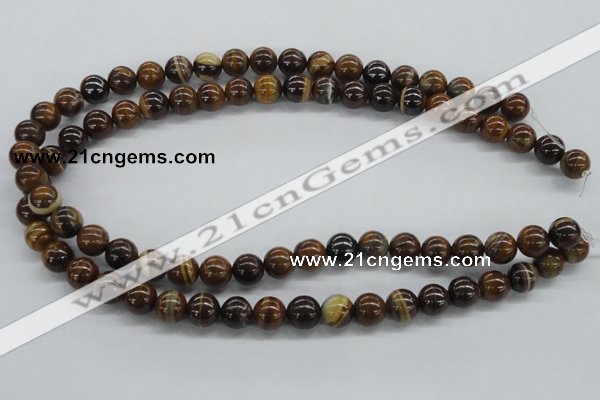 CZJ171 15.5 inches 10mm round iron zebra jasper beads wholesale