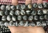 CZJ415 15.5 inches 14mm round green zebra jasper beads wholesale