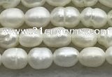 FWP157 14.5 inches 3mm - 4mm rice white freshwater pearl strands