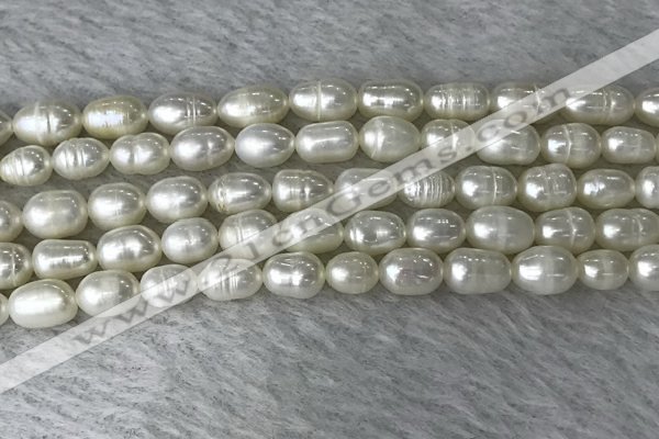 FWP171 14.5 inches 5mm - 6mm rice white freshwater pearl strands