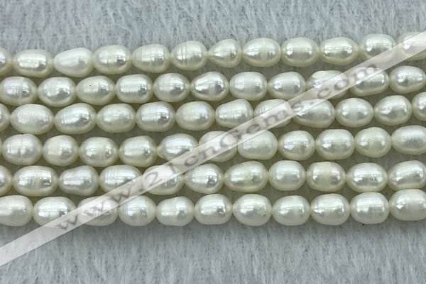 FWP174 14.5 inches 5mm - 6mm rice white freshwater pearl strands