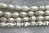 FWP205 15 inches 10mm - 11mm rice white freshwater pearl strands