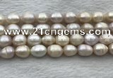 FWP206 15 inches 10mm - 11mm rice white freshwater pearl strands