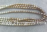 FWP210 15 inches 6mm - 7mm rice mixed color freshwater pearl strands