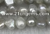 FWP232 14.5 inches 3mm - 4mm baroque grey freshwater pearl strands