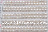 FWP454 half-drilled 5-5.5mm bread freshwater pearl beads