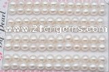 FWP458 half-drilled 7-7.5mm bread freshwater pearl beads