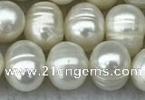 FWP70 15 inches 7mm - 8mm potato white freshwater pearl strands