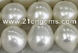 FWP79 15 inches 7mm - 8mm potato white freshwater pearl strands