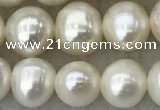 FWP81 15 inches 7mm - 8mm potato white freshwater pearl strands