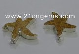 NGC1456 28mm - 30mm starfish fossil coral connectors wholesale