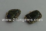 NGC6550 18*25mm - 25*30mm freeform labradorite connectors