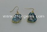 NGE261 13*18mm - 15*20mm freeform druzy agate earrings