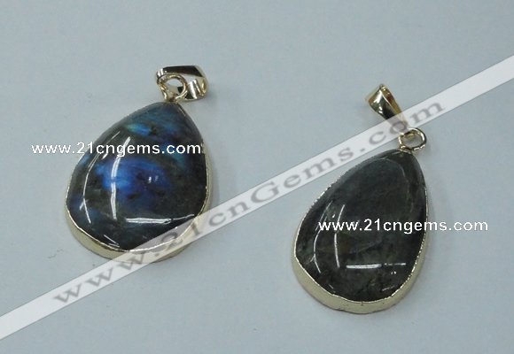 NGP1158 20*30mm - 25*35mm freeform labradorite pendants with brass setting