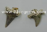 NGP1457 15*20mm - 20*30mm shark teeth pendants wholesale