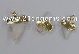 NGP2320 18*25mm - 25*30mm teeth-shaped shell pendants