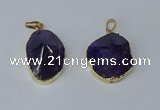 NGP3162 22*30mm - 25*35mm freeform amethyst gemstone pendants