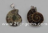 NGP4068 25*30mm – 30*35mm carved ammonite pendants wholesale