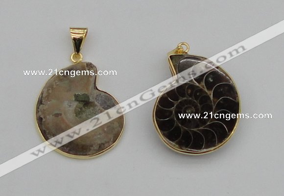 NGP4069 25*30mm – 30*35mm carved ammonite pendants wholesale