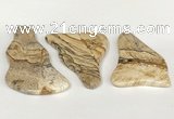 NGP5870 25*50mm - 35*70mm freeform picture jasper pendants