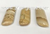 NGP5872 20*55mm - 22*60mm marquise picture jasper pendants