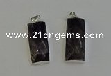 NGP6188 14*30mm - 15*38mm faceted rectangle labradorite pendants