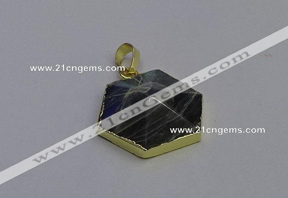 NGP6816 24*25mm hexagon labradorite gemstone pendants wholesale