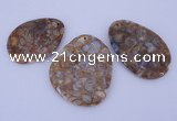 NGP955 5PCS 35-55mm*50-65mm freeform jasper gemstone pendants