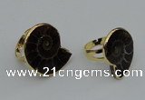 NGR206 25*25mm – 25*30mm carved ammonite rings wholesale